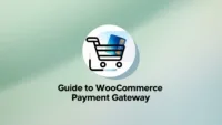 WooCommerce Payment Gateways