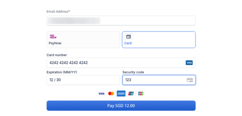 Card details on the HitPay checkout page
