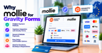 Why buy Mollie for Gravity Forms (European merchants & agencies) — WooCommerce payment infographic